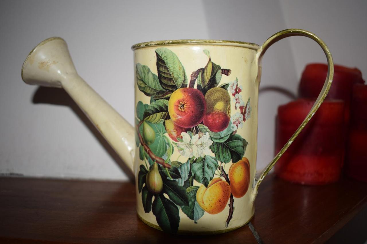 San Giacomo  La Casa Di Visiヴィラ エクステリア 写真