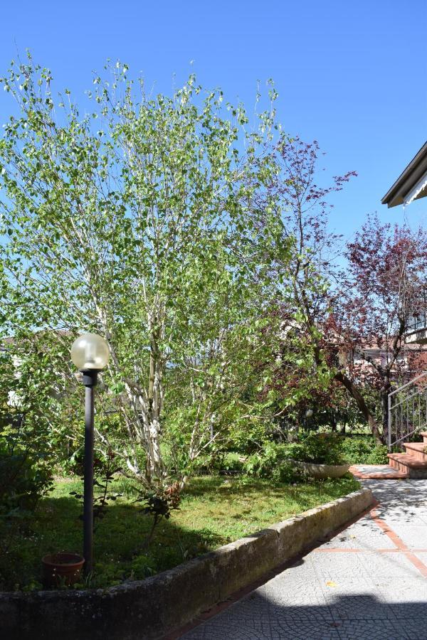 San Giacomo  La Casa Di Visiヴィラ エクステリア 写真